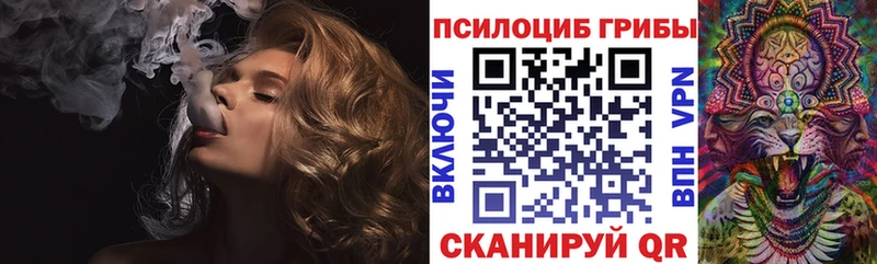 Галлюциногенные грибы Psilocybe  Мезень 
