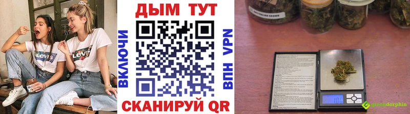 Конопля конопля Мезень